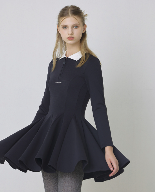 Navy, Zip-up Flared Dress