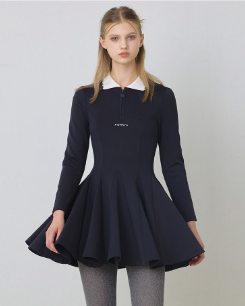 Navy, Zip-up Flared Dress