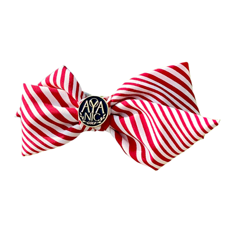 Ribbon Hairpin Golf Ball Marker